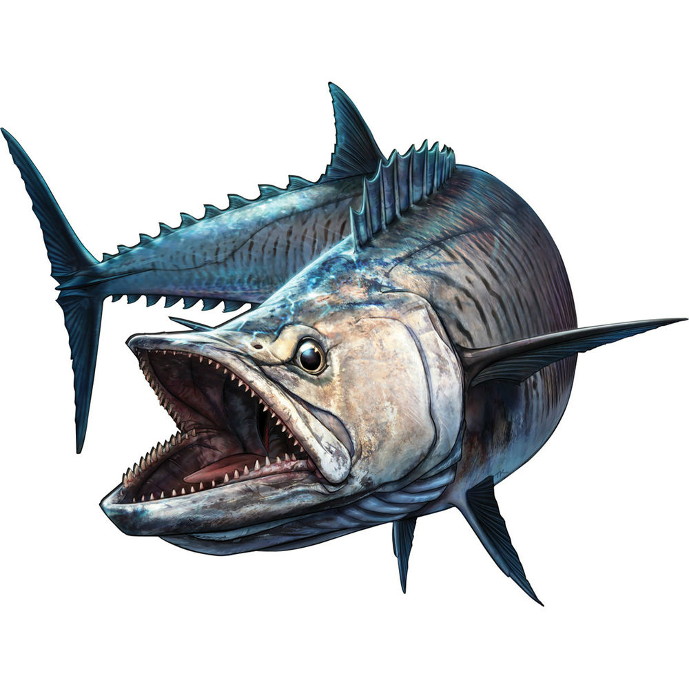Bass Fishing Lure - Squalo Pesce Barca da pesca Asta