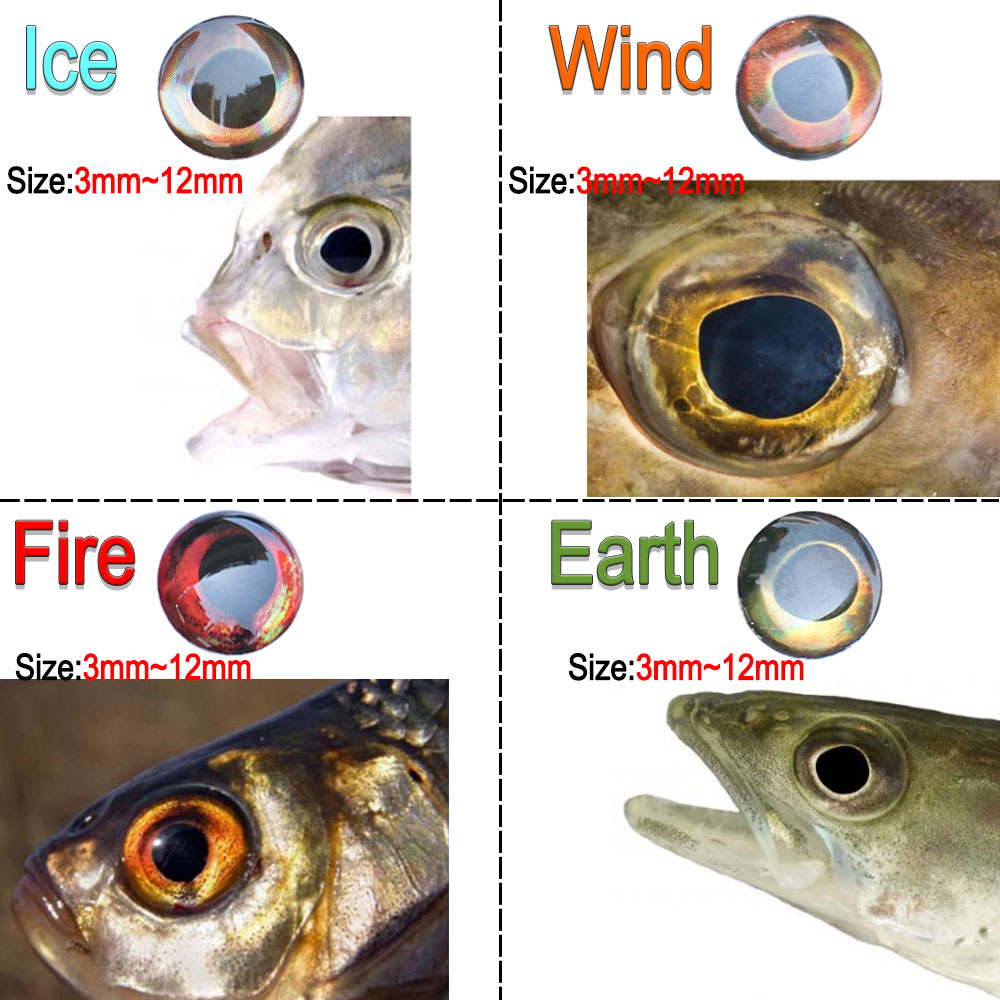 ICERIO 100PCS Olografico 3D 4D - Fishing Equipment Deals recensione e prezzo