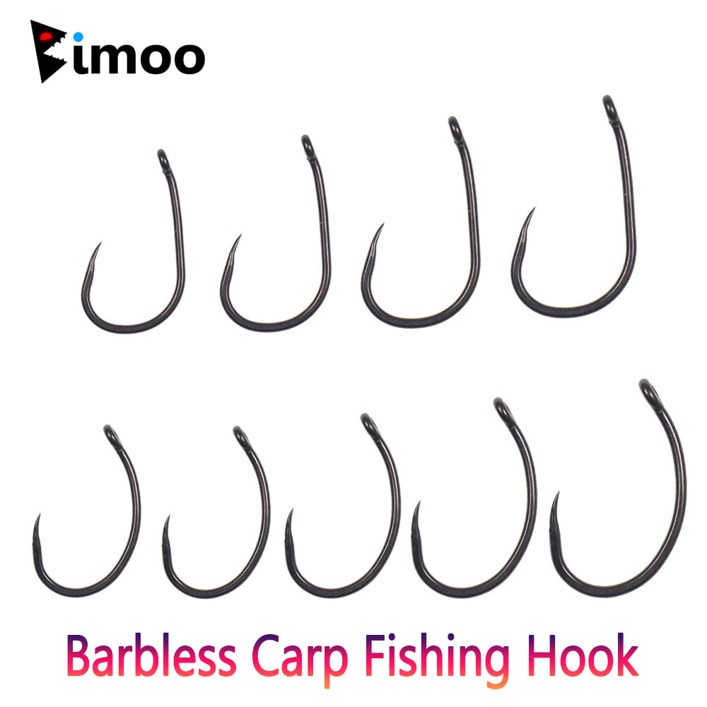 50 Pezzi Ami da Pesca per Carp - Fishing Equipment Ebay recensione e prezzo