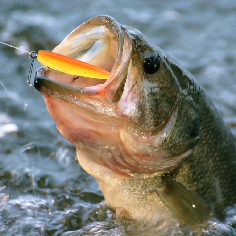 50 pz/scatola Richiamo di Pesc - Fishing Equipment Deals recensione e prezzo