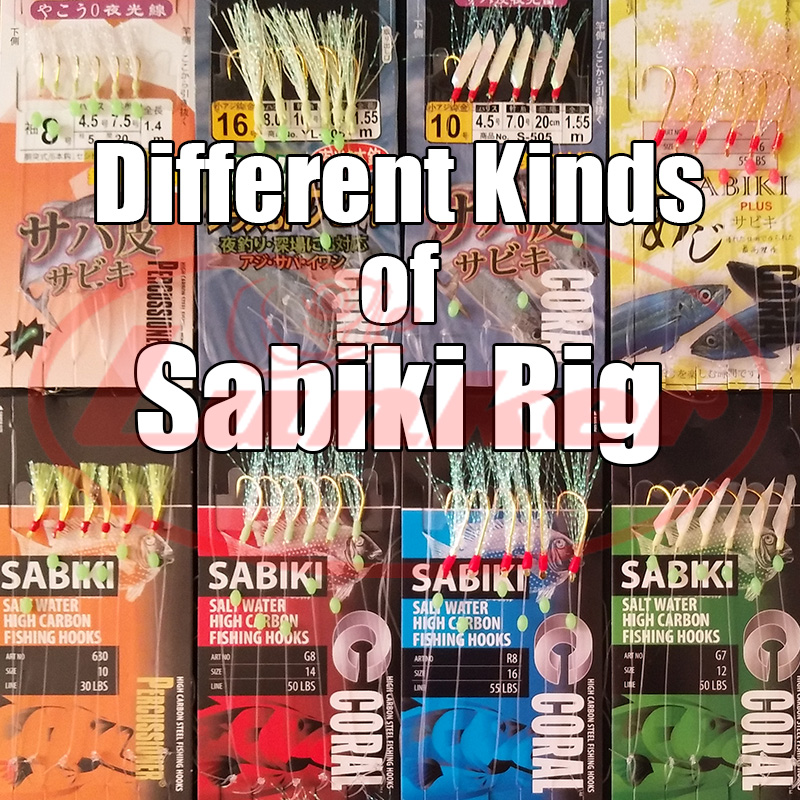 Lunker sabiki rig ganci lumino - Fishing Equipment Deals recensione e prezzo